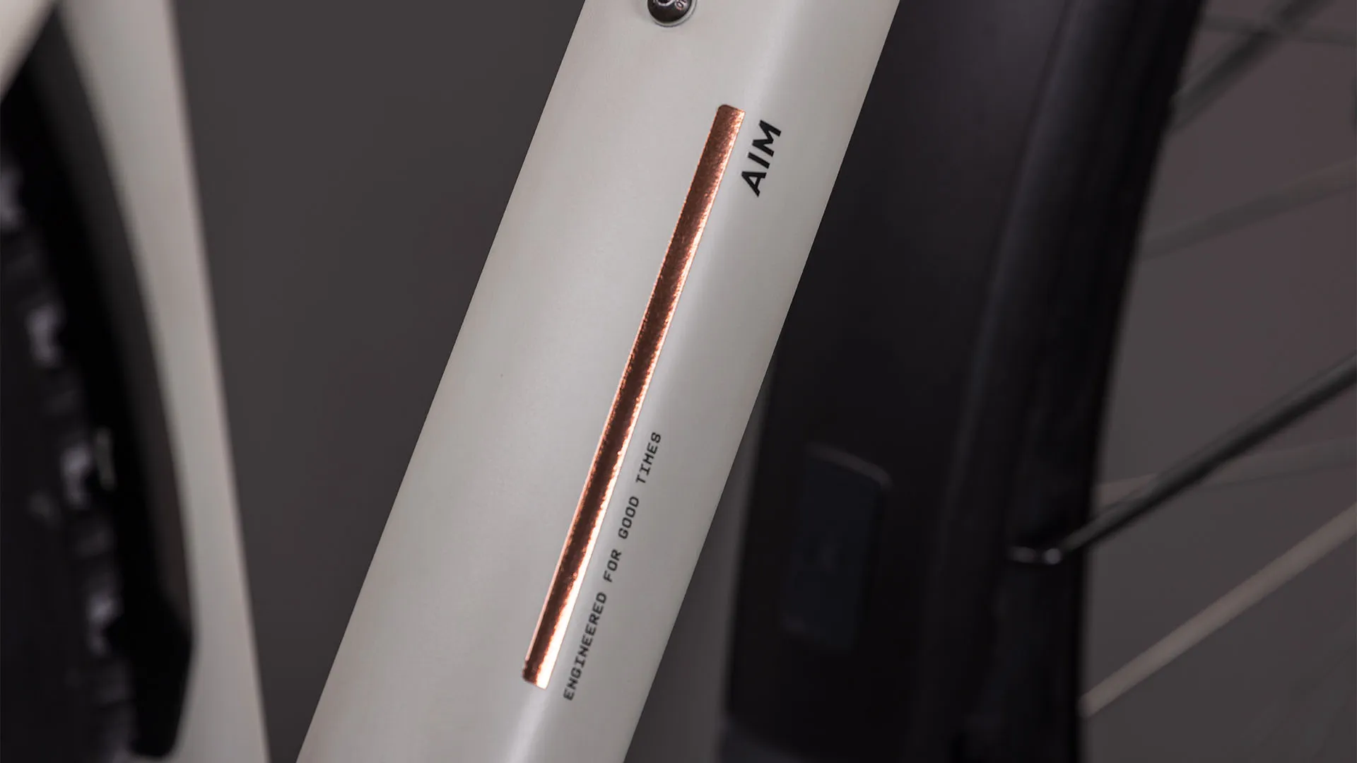 Cube Aim Pro FE greige´n´titan 2026 - Image 3