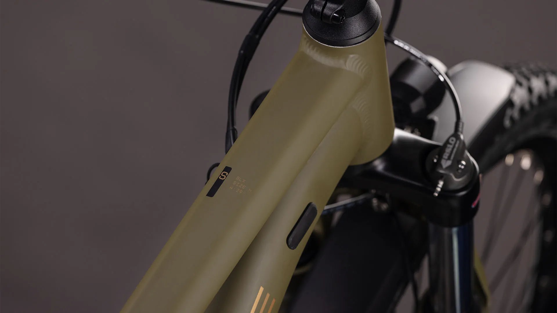 Cube Aim SLX FE dustolive´n´gold 2026 - Image 2